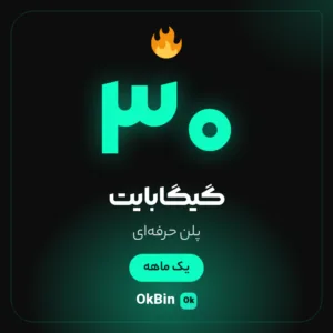 اشتراک فیلترشکن 30 گیگابایت یک ماهه پلن حرفه‌ای اوکی‌بین